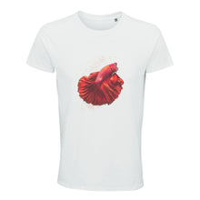 Lade das Bild in den Galerie-Viewer, 9ede8b10-2ad8-11ec-82a2-ddaf112f3139