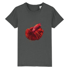 Lade das Bild in den Galerie-Viewer, a6b98434-5b5f-11ed-a1b0-4b4632cdf3cb