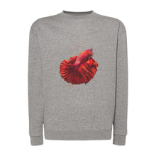 Lade das Bild in den Galerie-Viewer, 30509ac7-5b7a-11ed-861a-9f50585bbc12