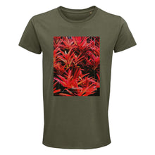 Lade das Bild in den Galerie-Viewer, 78260d72-6cba-11ed-a7bc-4d776d25cfbe