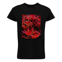 Lade das Bild in den Galerie-Viewer, 78260d74-6cba-11ed-a7bc-4d776d25cfbe