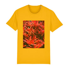 Lade das Bild in den Galerie-Viewer, f79c8e73-6cbb-11ed-a8d2-fb77a0c721aa