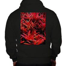 Lade das Bild in den Galerie-Viewer, 79b710e1-6cbe-11ed-9d87-8b134bb4455b