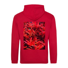 Lade das Bild in den Galerie-Viewer, 79b737f4-6cbe-11ed-9d87-8b134bb4455b