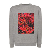 Lade das Bild in den Galerie-Viewer, 0450de58-6cc1-11ed-9ddc-5b6f1ecffbbc