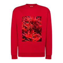 Lade das Bild in den Galerie-Viewer, 04510562-6cc1-11ed-9ddc-5b6f1ecffbbc