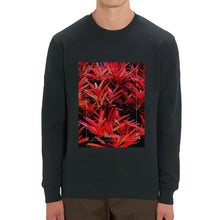 Lade das Bild in den Galerie-Viewer, 62d72bf0-6cc1-11ed-975c-d1529384bfa5