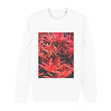 Lade das Bild in den Galerie-Viewer, 62d75301-6cc1-11ed-975c-d1529384bfa5