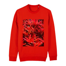 Lade das Bild in den Galerie-Viewer, 62d75302-6cc1-11ed-975c-d1529384bfa5