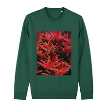 Lade das Bild in den Galerie-Viewer, 62d75303-6cc1-11ed-975c-d1529384bfa5