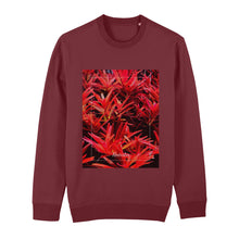 Lade das Bild in den Galerie-Viewer, 62d75304-6cc1-11ed-975c-d1529384bfa5