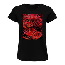 Lade das Bild in den Galerie-Viewer, d9173c60-6cc1-11ed-89e7-c7f3f726b814