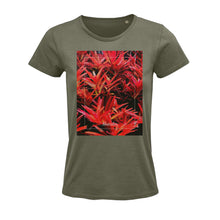 Lade das Bild in den Galerie-Viewer, d9173c66-6cc1-11ed-89e7-c7f3f726b814