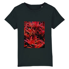 Lade das Bild in den Galerie-Viewer, 04f73b00-6cc2-11ed-b83d-a3ab8789ec59