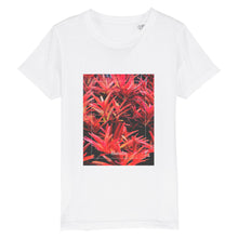 Lade das Bild in den Galerie-Viewer, 04f73b01-6cc2-11ed-b83d-a3ab8789ec59