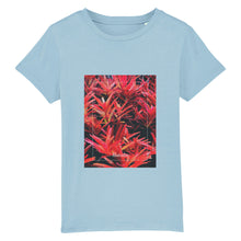 Lade das Bild in den Galerie-Viewer, 04f73b02-6cc2-11ed-b83d-a3ab8789ec59