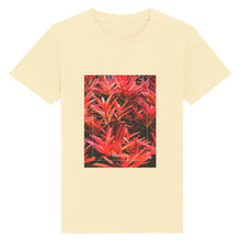 Lade das Bild in den Galerie-Viewer, 04f73b03-6cc2-11ed-b83d-a3ab8789ec59