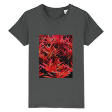 Lade das Bild in den Galerie-Viewer, 04f73b04-6cc2-11ed-b83d-a3ab8789ec59