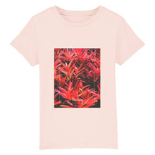 Lade das Bild in den Galerie-Viewer, 04f73b06-6cc2-11ed-b83d-a3ab8789ec59