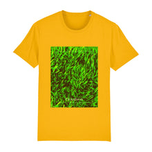 Lade das Bild in den Galerie-Viewer, 5559ab73-70a8-11ed-a635-29910096a480