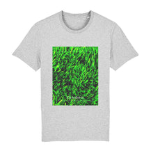 Lade das Bild in den Galerie-Viewer, 5559ab74-70a8-11ed-a635-29910096a480