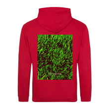 Lade das Bild in den Galerie-Viewer, 63eb43ab-70a9-11ed-8336-2730f3f90a1e