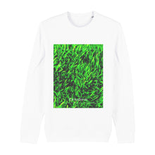 Lade das Bild in den Galerie-Viewer, b87a3a53-70ab-11ed-9b83-09761ebf8a7c