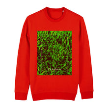 Lade das Bild in den Galerie-Viewer, b87a6160-70ab-11ed-9b83-09761ebf8a7c