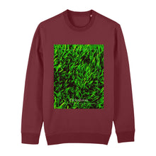 Lade das Bild in den Galerie-Viewer, b87a6162-70ab-11ed-9b83-09761ebf8a7c