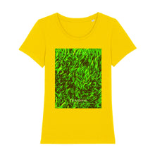 Lade das Bild in den Galerie-Viewer, 782c7a21-70ac-11ed-ba2d-85a35e3b78cb