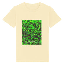 Lade das Bild in den Galerie-Viewer, 990c59d2-70ad-11ed-8863-f980422dd03c