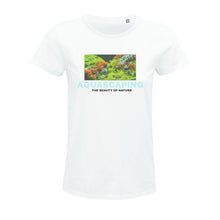 Lade das Bild in den Galerie-Viewer, da26f680-2ab0-11ec-a552-219f78d6d4bc
