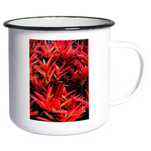 Lade das Bild in den Galerie-Viewer, d8722fb0-6cf6-11ed-9702-99fab9e4c337
