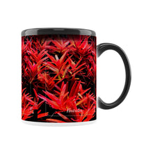 Lade das Bild in den Galerie-Viewer, 3011f950-6fed-11ed-af85-216d28d38d75
