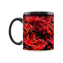 Lade das Bild in den Galerie-Viewer, 3011f952-6fed-11ed-af85-216d28d38d75
