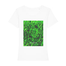 Lade das Bild in den Galerie-Viewer, 782c5313-70ac-11ed-ba2d-85a35e3b78cb
